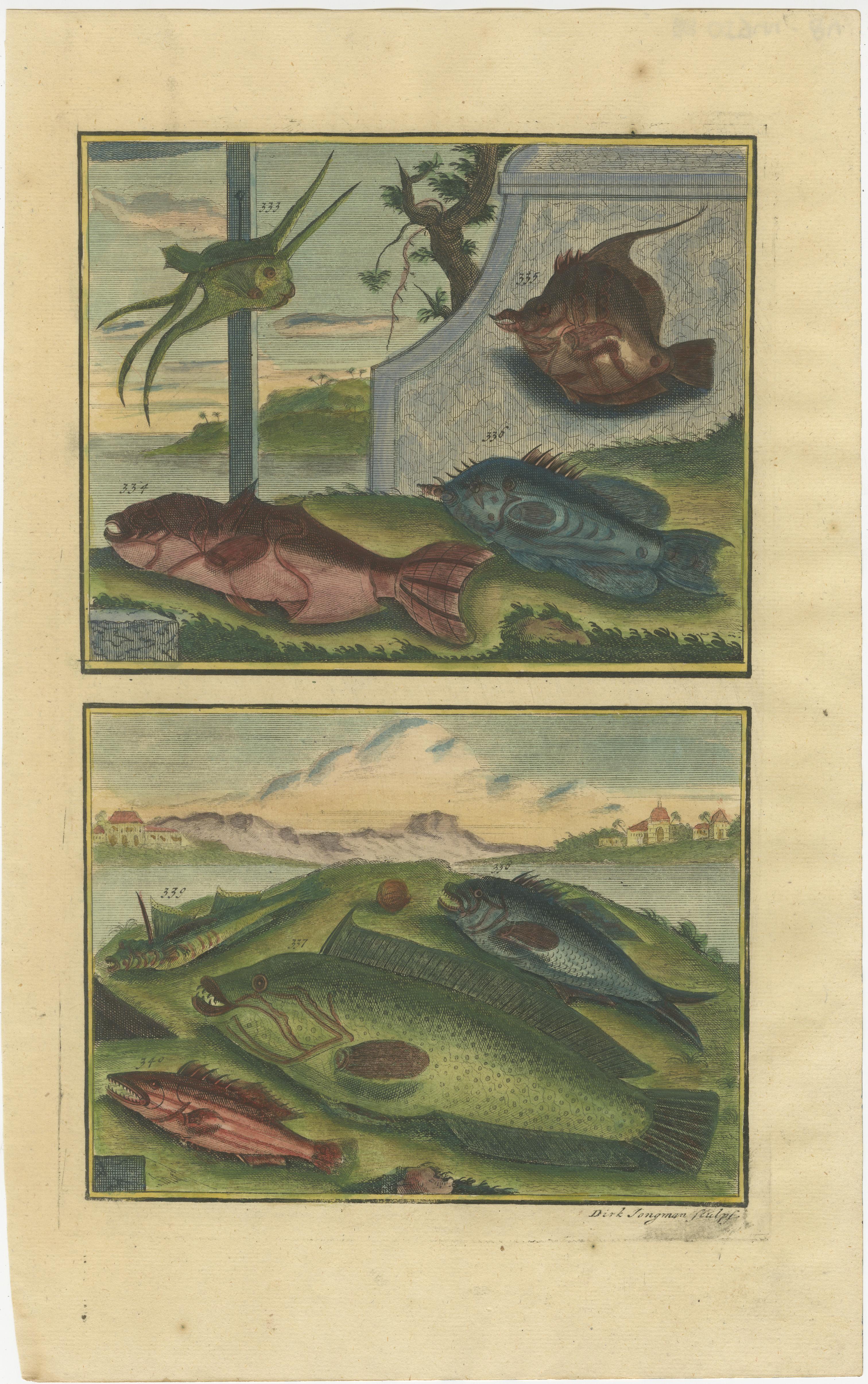 Paper Set of 8 Colored Antique Prints of Various Fishes and Crustaceans For Sale