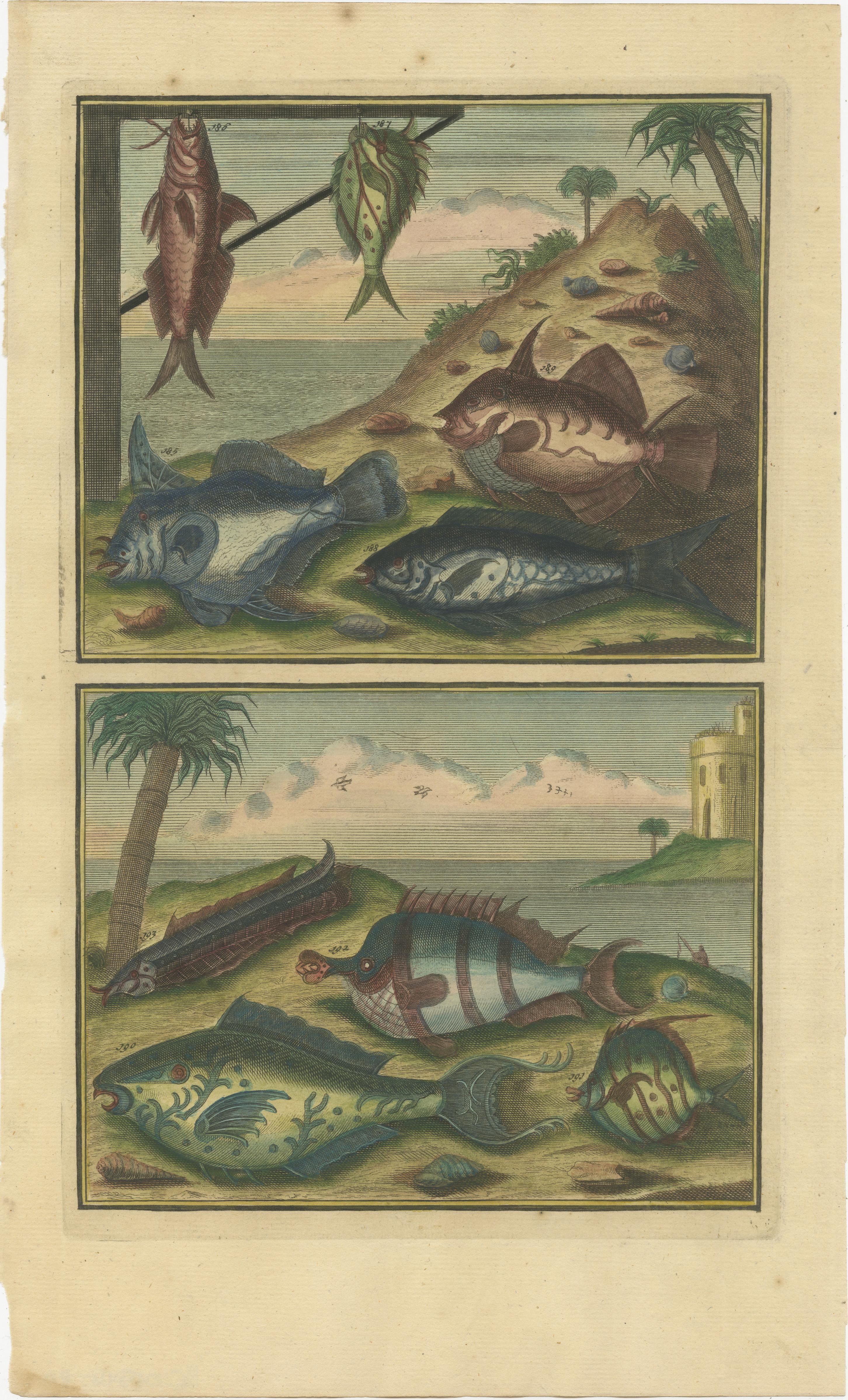 Set of 8 Colored Antique Prints of Various Fishes and Crustaceans For Sale 1