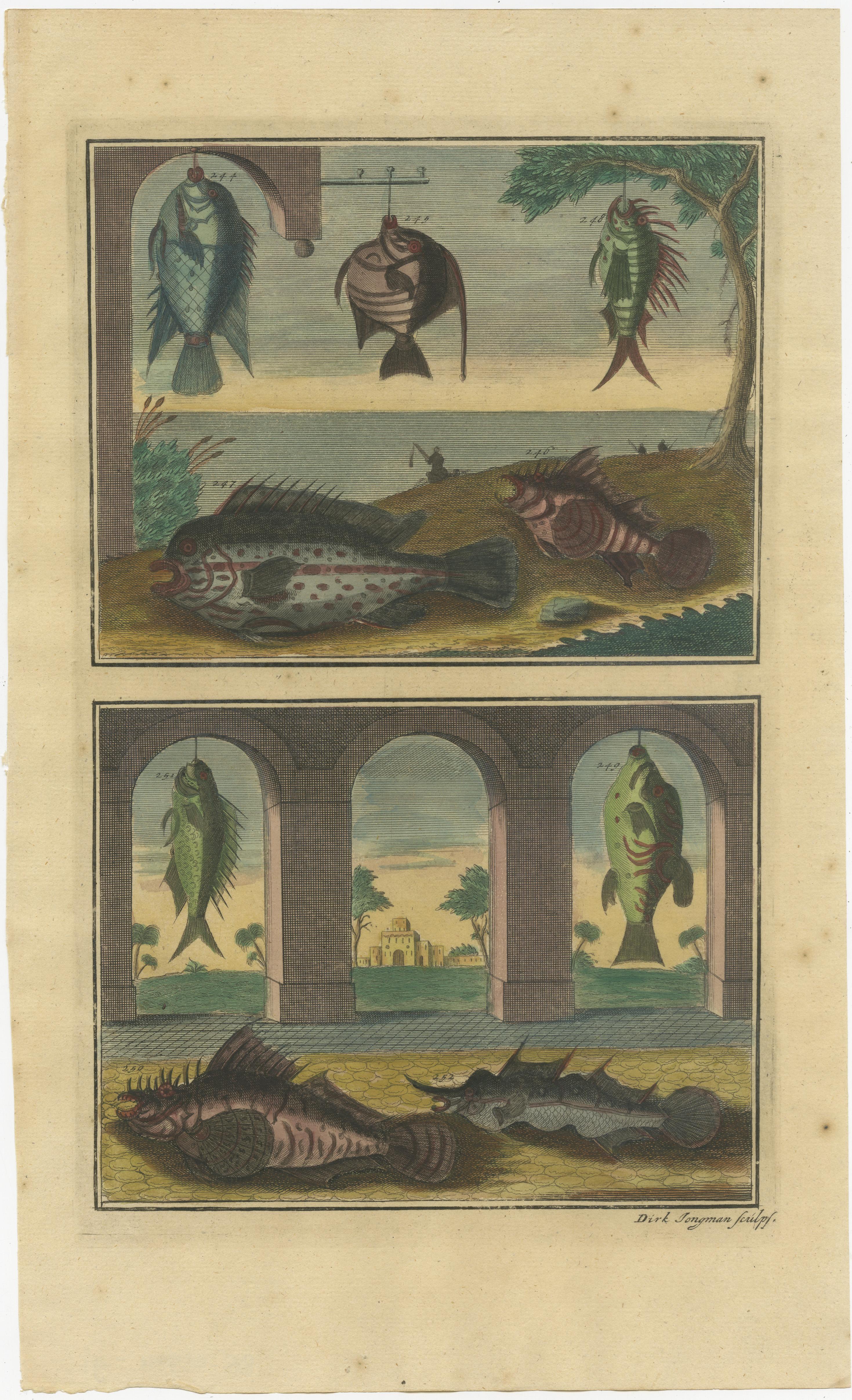 Set of 8 Colored Antique Prints of Various Fishes and Crustaceans For Sale 3