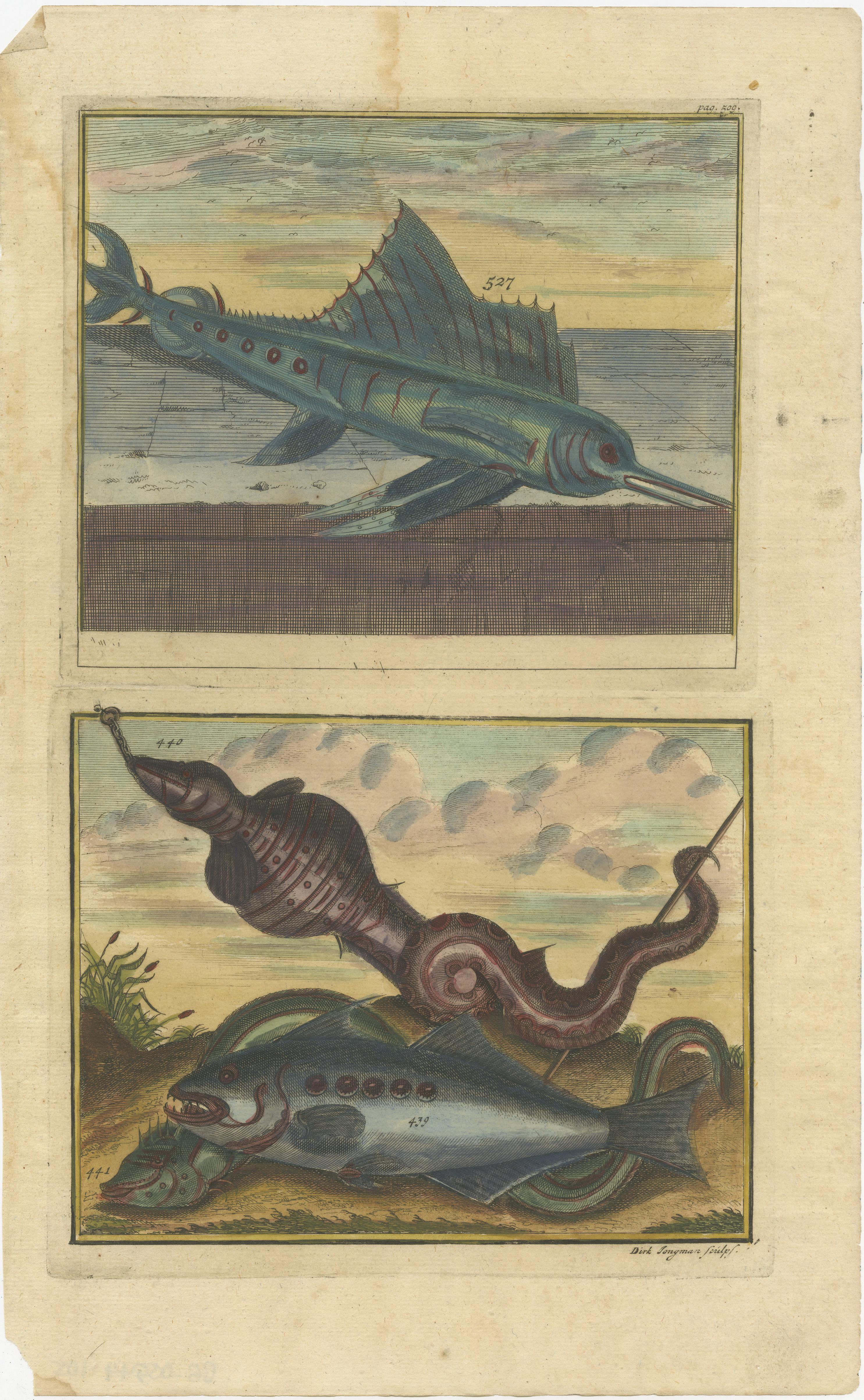 Set of 8 Colored Antique Prints of Various Fishes and Crustaceans For Sale 4