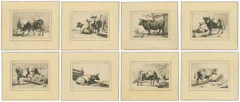 Set of 8 Dutch Golden Age Cattle Etchings, After Paulus Potter, c.1650