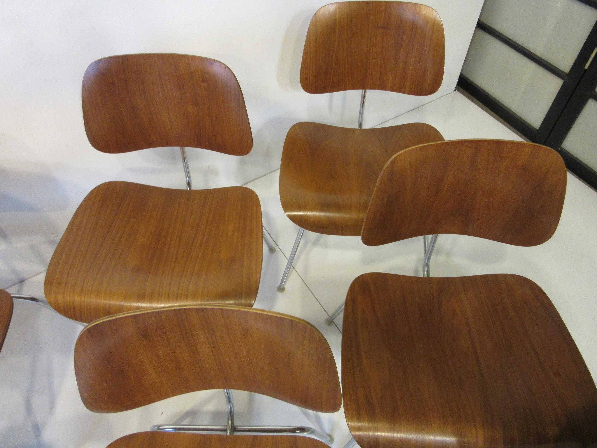 Set of 8 Eames Walnut DCM 'Dining Chairs Metal' by Herman Miller 2