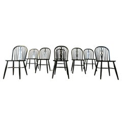 Antique Set of 8 ebonized Ercol Dining Chairs , 1950's