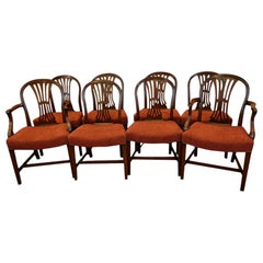 Set of 8 Edwardian Mahogany Hepplewhite Dining Chairs