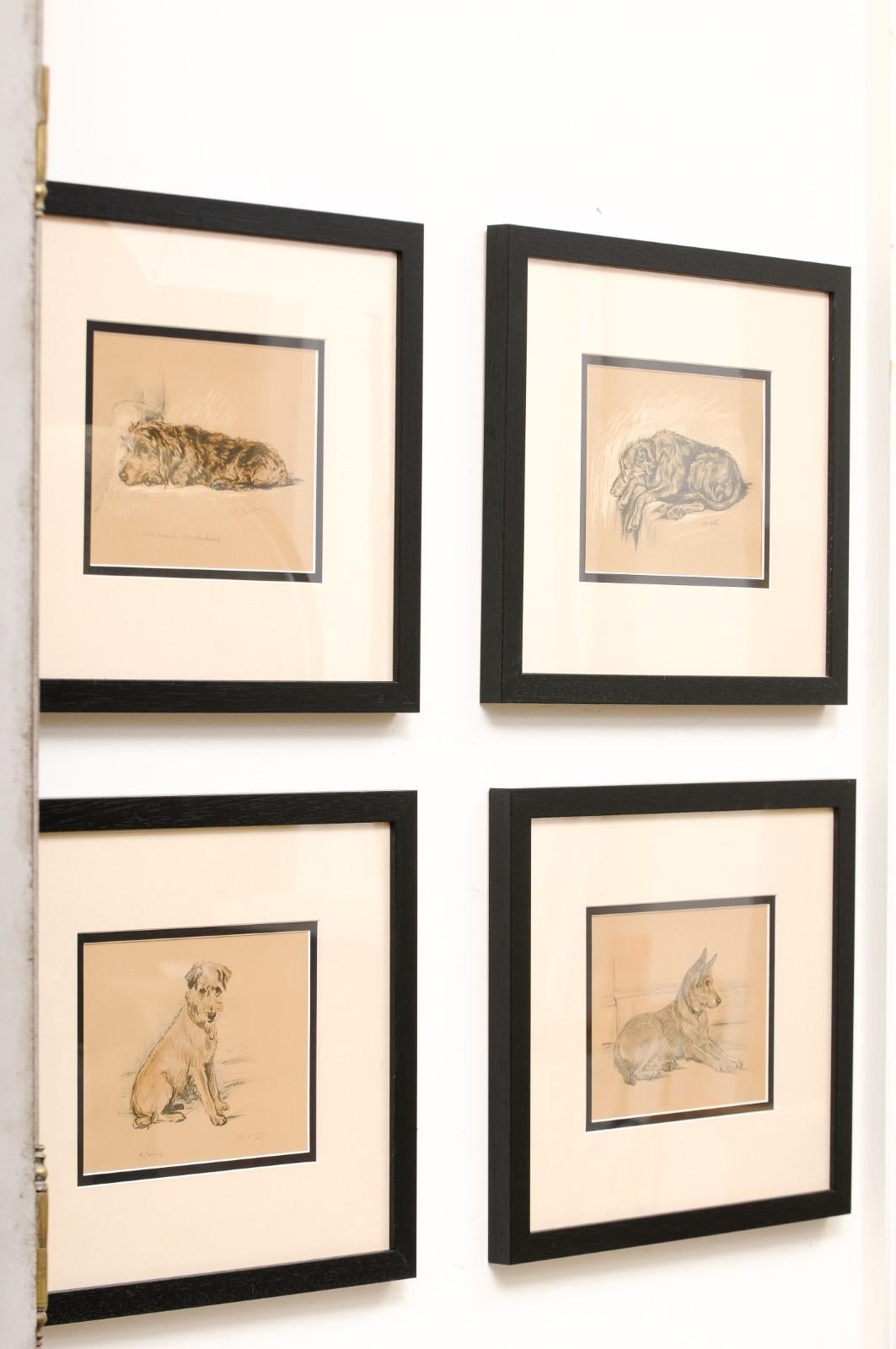 Set of 8 English Lucy Dawson Prints Depicting Dogs in Black Frames under Glass. 7