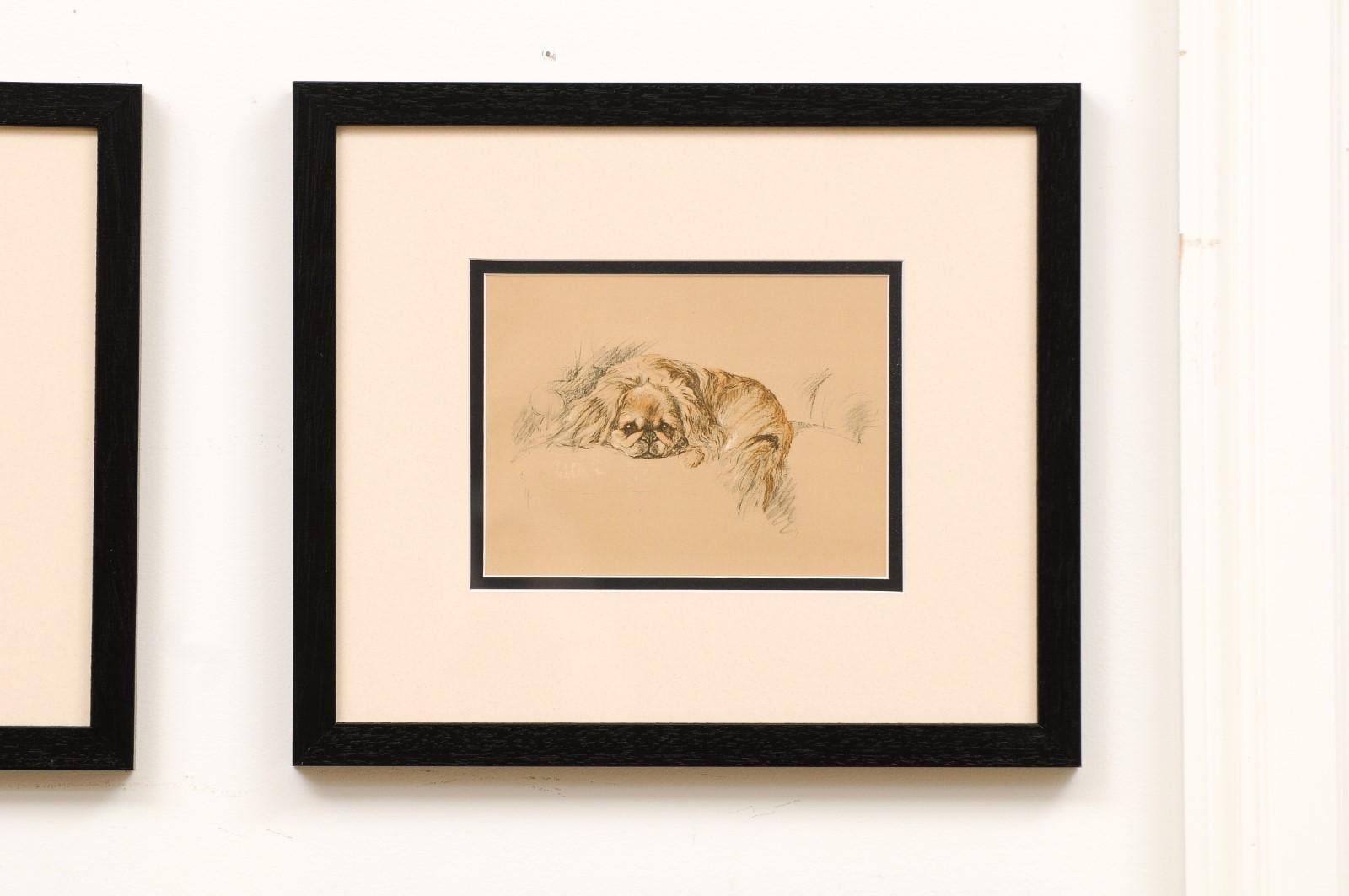 Set of 8 English Lucy Dawson Prints Depicting Dogs in Black Frames under Glass. 3