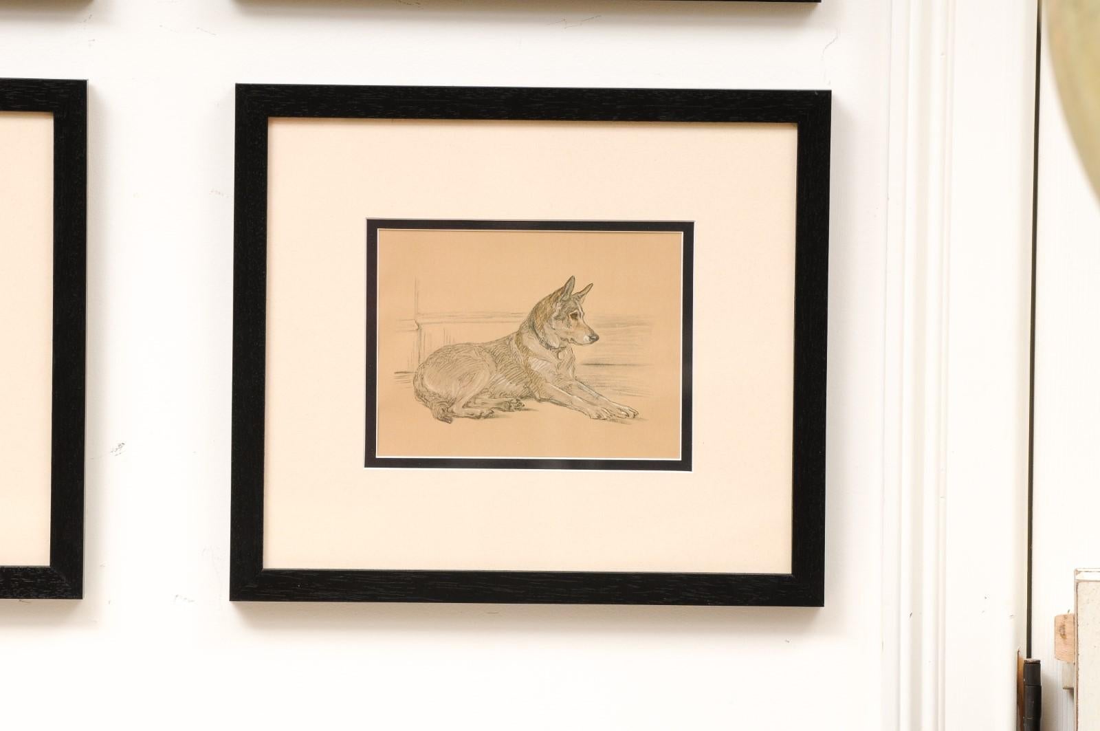 Set of 8 English Lucy Dawson Prints Depicting Dogs in Black Frames under Glass. 4
