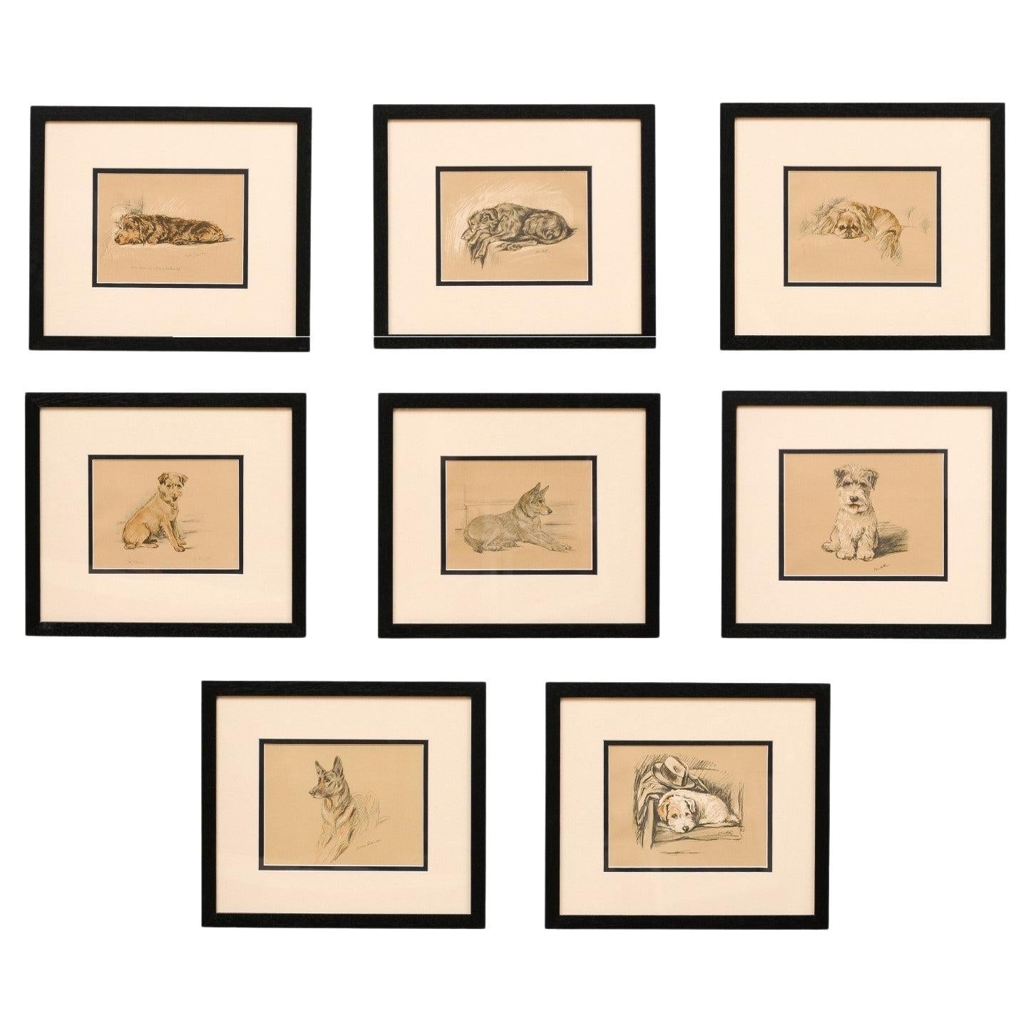 Set of 8 English Lucy Dawson Prints Depicting Dogs in Black Frames under Glass.