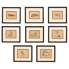 Set of 8 English Lucy Dawson Prints Depicting Dogs in Black Frames under Glass.