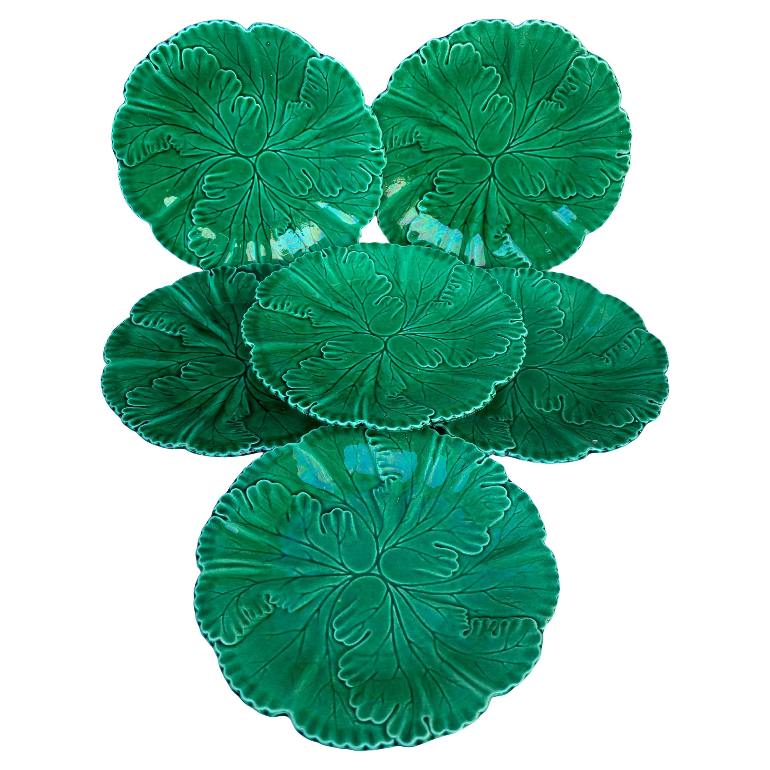 Set di 8 piatti francesi in maiolica verde Clairefontaine, circa 1890