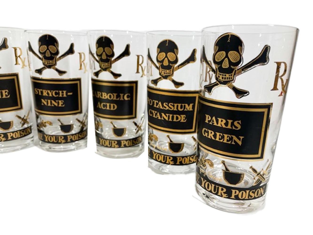 briard posion glassware