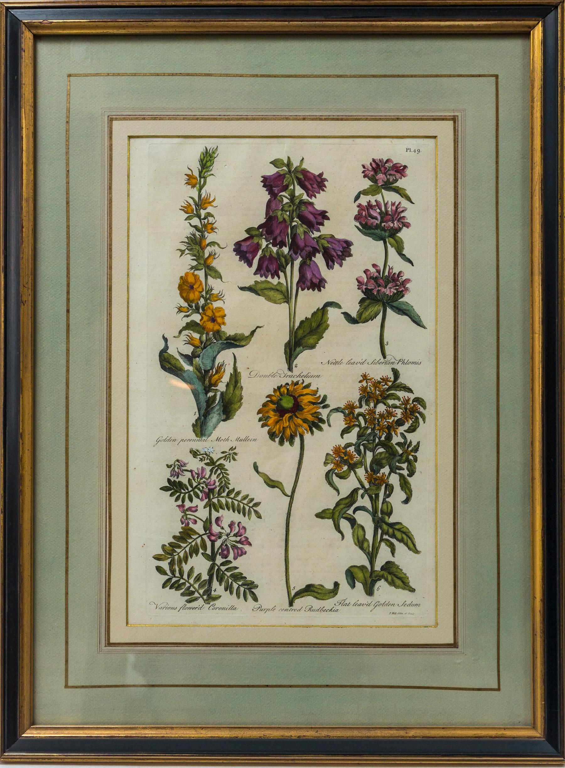 Hand-Painted Set of 8 Hand Colored Floral Engravings