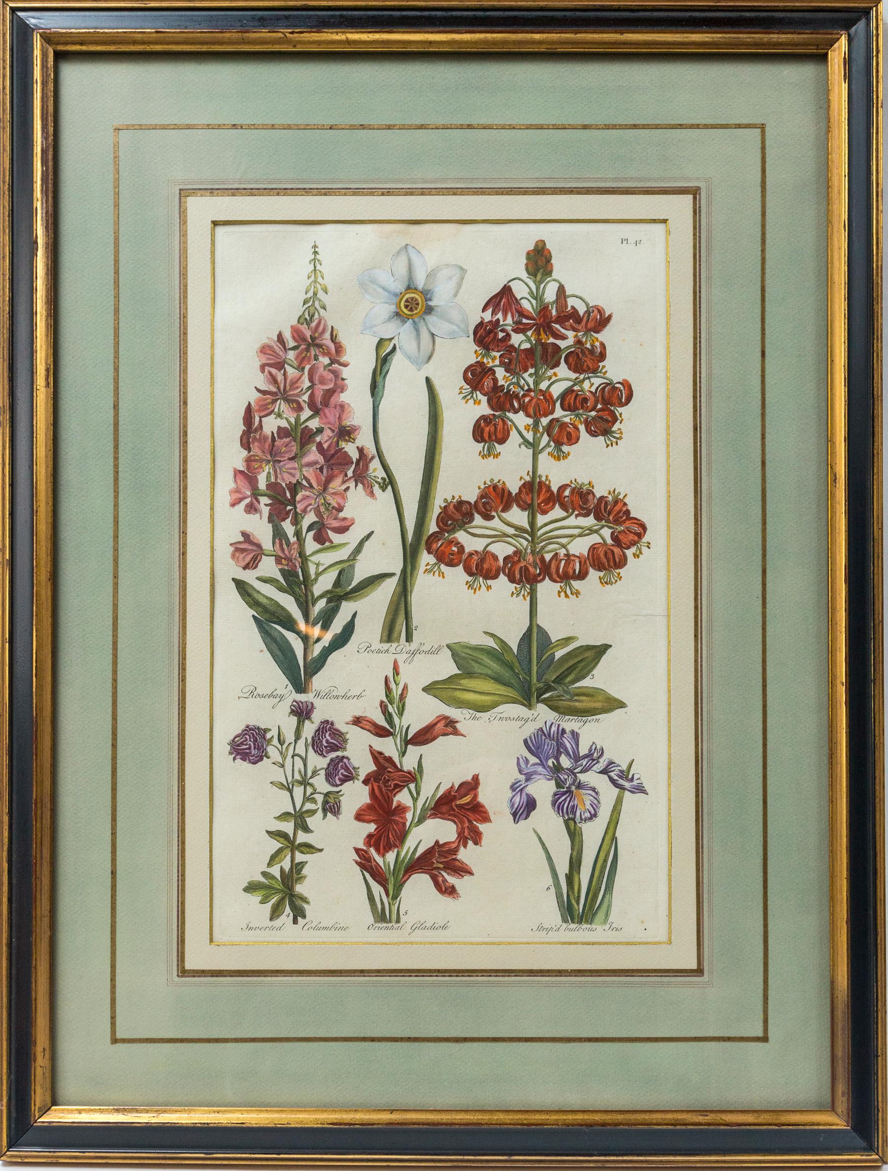 Set of 8 Hand Colored Floral Engravings In Good Condition In Woodbury, CT