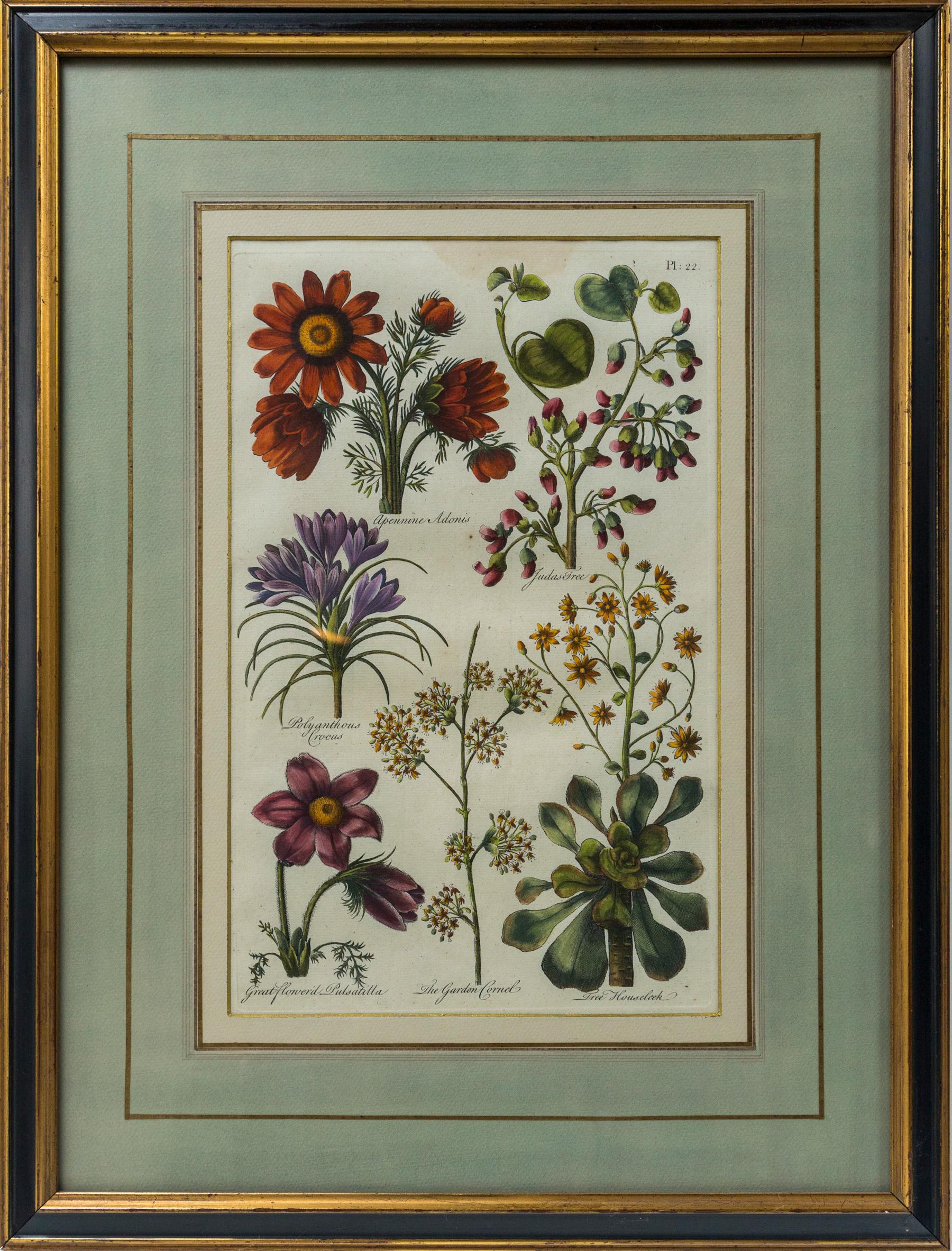 19th Century Set of 8 Hand Colored Floral Engravings