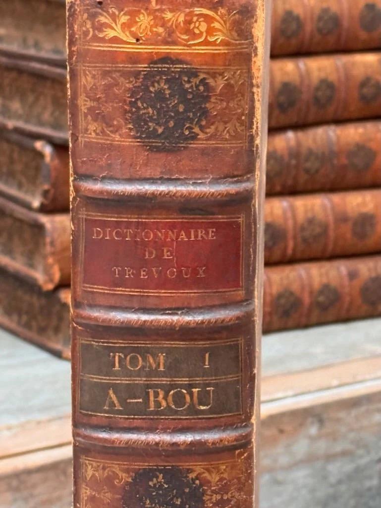 Ensemble de 8 grands livres reliés en cuir du 18e siècle avec une belle patine, comprenant les livres suivants  