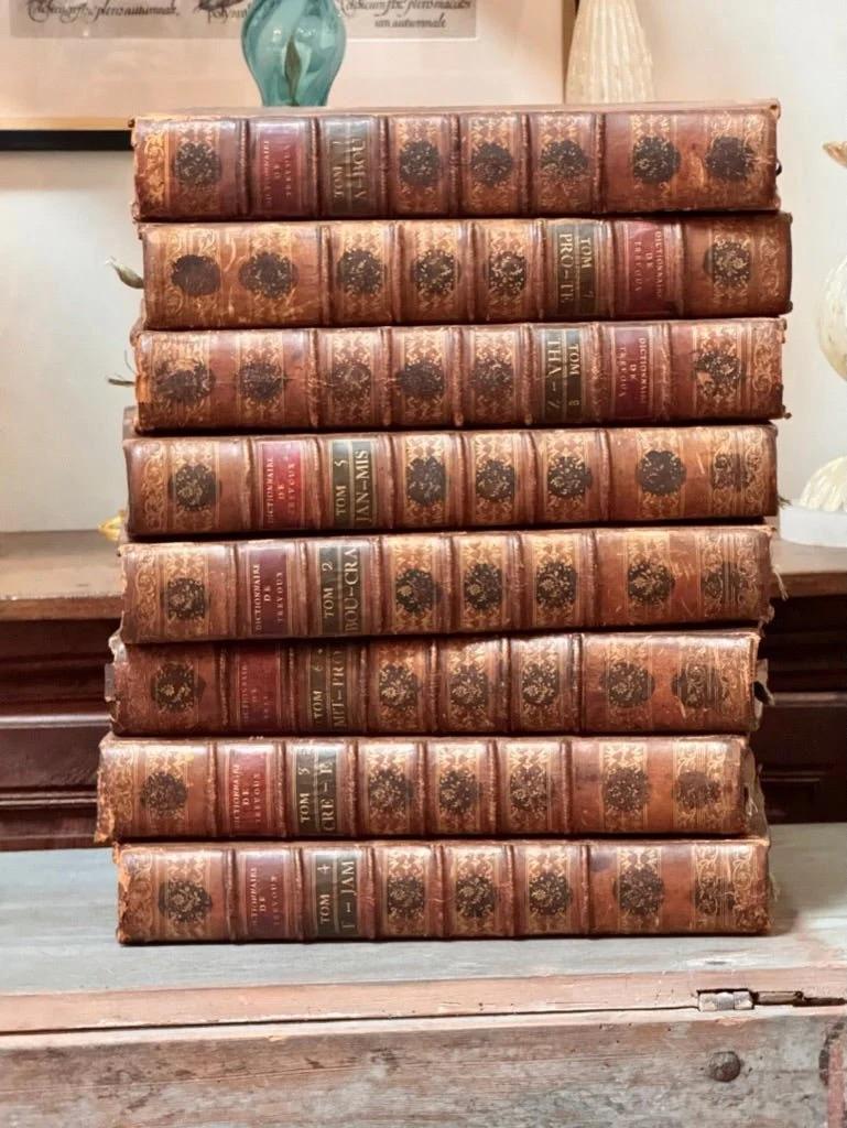 XVIIIe siècle et antérieur Ensemble de 8 grands livres français, Dictionaries, reliés en cuir du 18ème siècle en vente