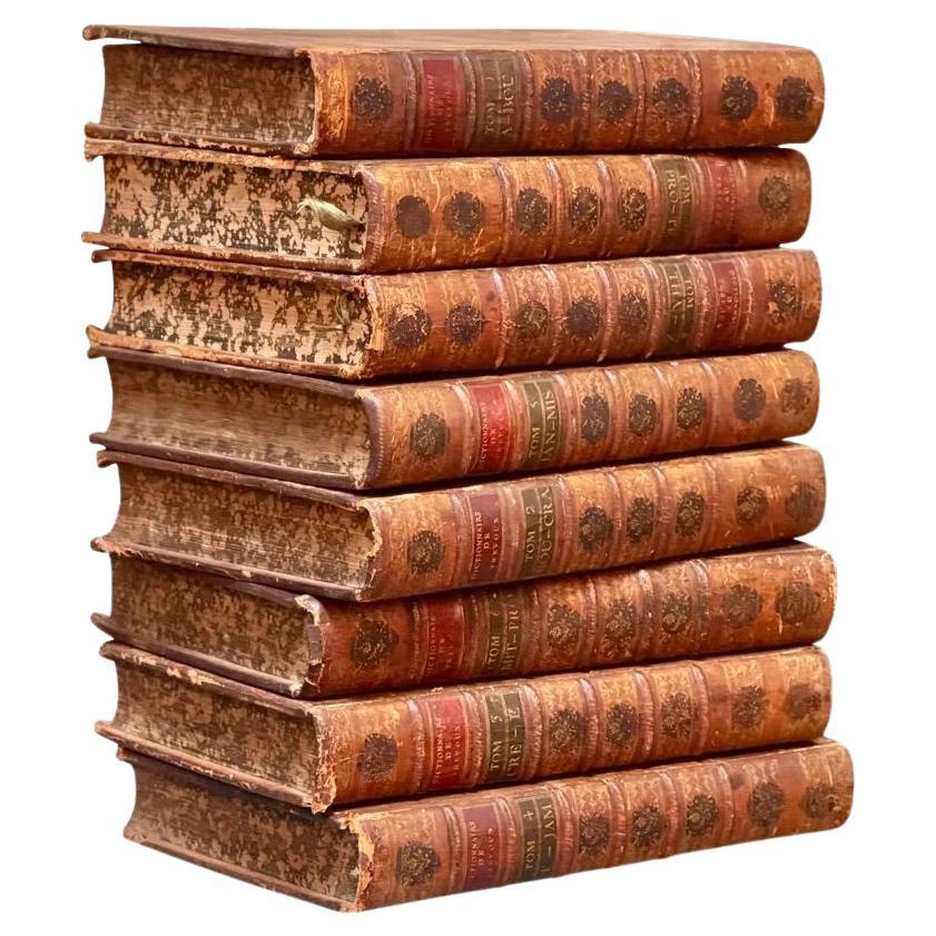 Set of 8 large French Books, Dictionaries, 18th Century Leather Bound