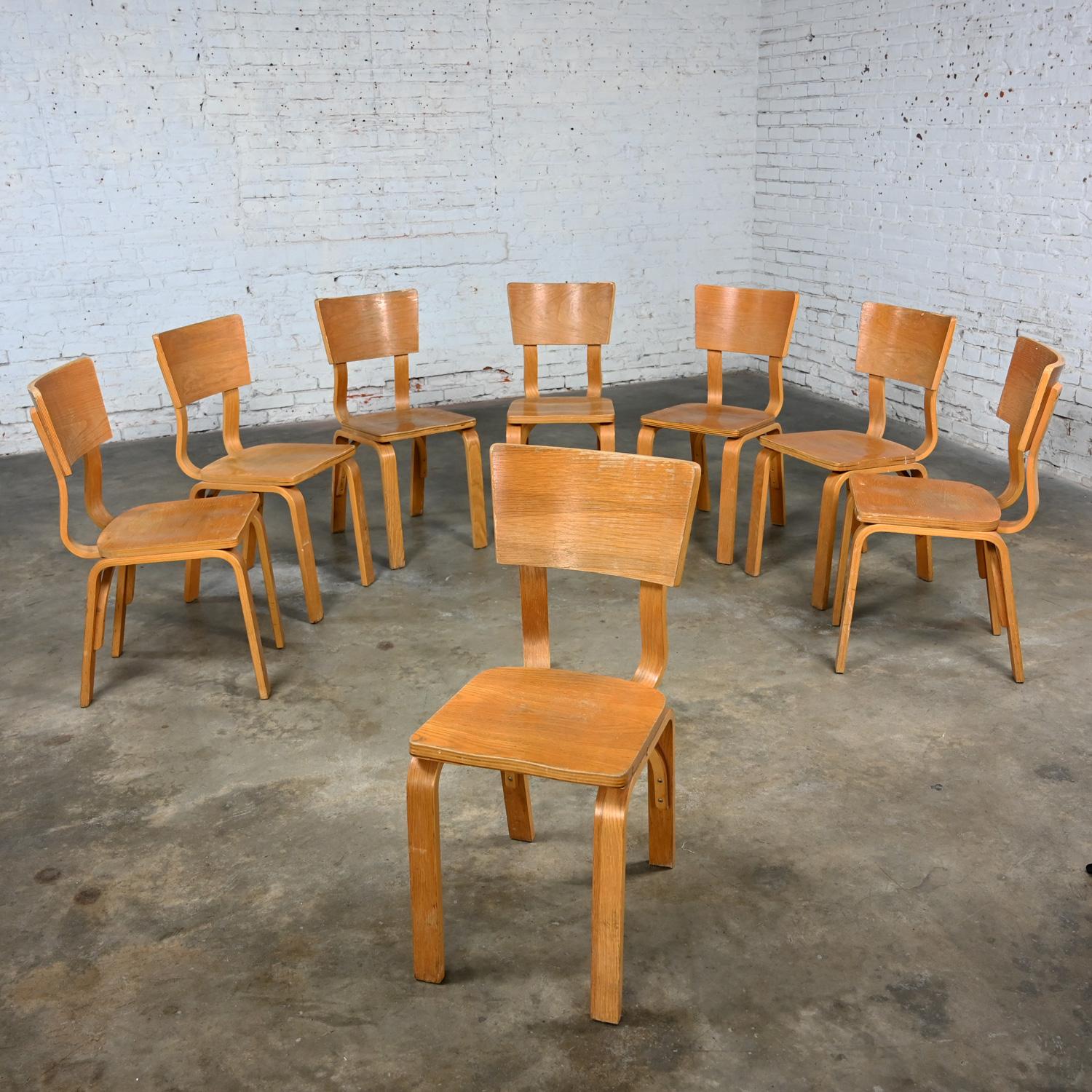 Satz von 8 MCM Thonet #1216 Esszimmerstühlen, gebogene Eiche, Sperrholz, Sattelsitz, Einzelschleife im Angebot 9