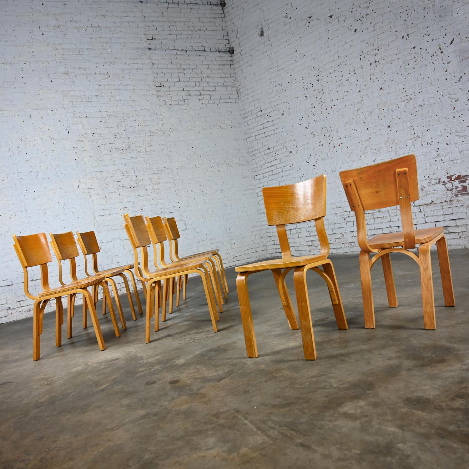 Satz von 8 MCM Thonet #1216 Esszimmerstühlen, gebogene Eiche, Sperrholz, Sattelsitz, Einzelschleife (Moderne der Mitte des Jahrhunderts) im Angebot