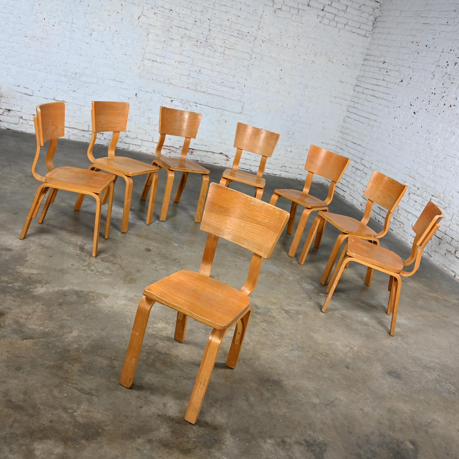 Satz von 8 MCM Thonet #1216 Esszimmerstühlen, gebogene Eiche, Sperrholz, Sattelsitz, Einzelschleife (amerikanisch) im Angebot