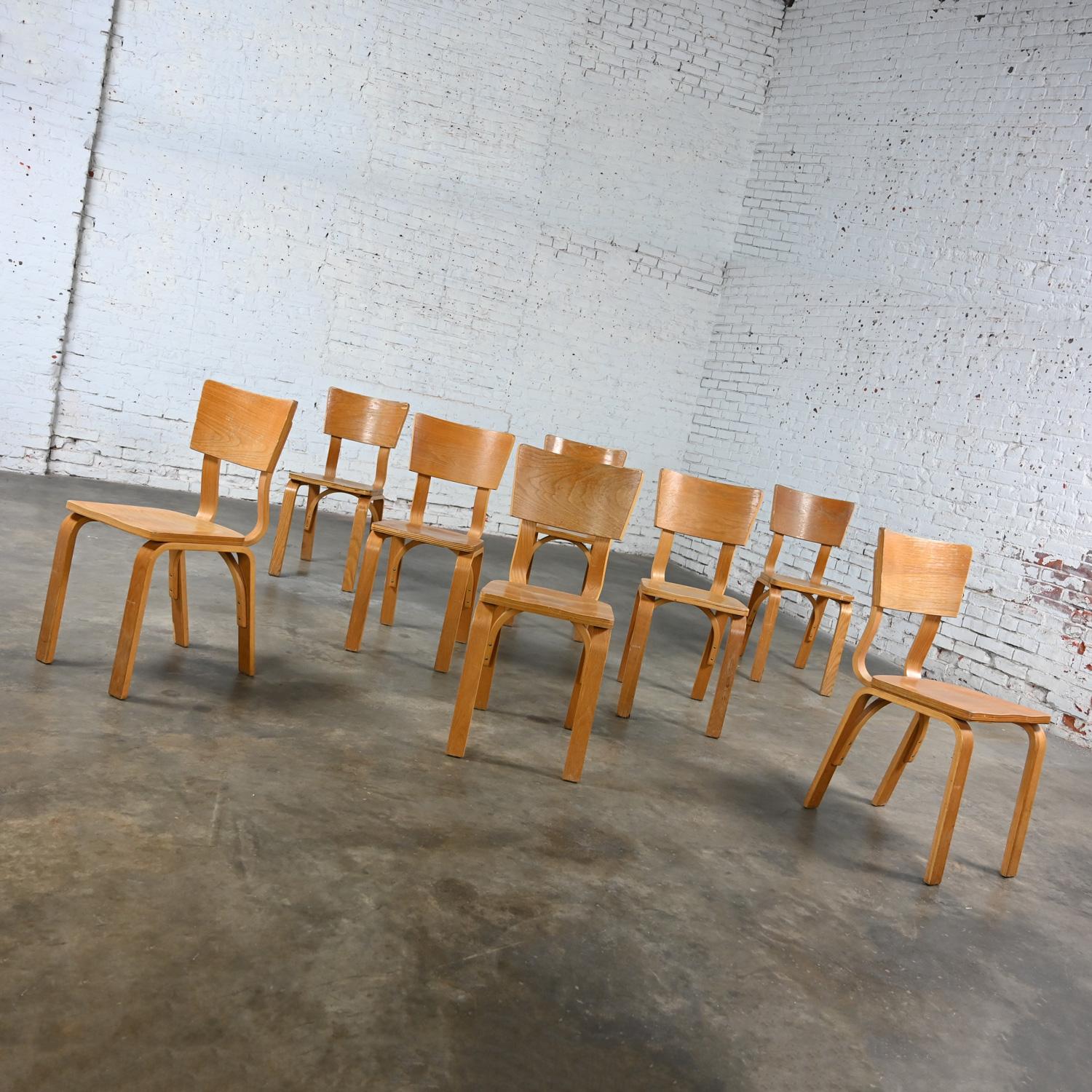 Satz von 8 MCM Thonet #1216 Esszimmerstühlen, gebogene Eiche, Sperrholz, Sattelsitz, Einzelschleife (20. Jahrhundert) im Angebot
