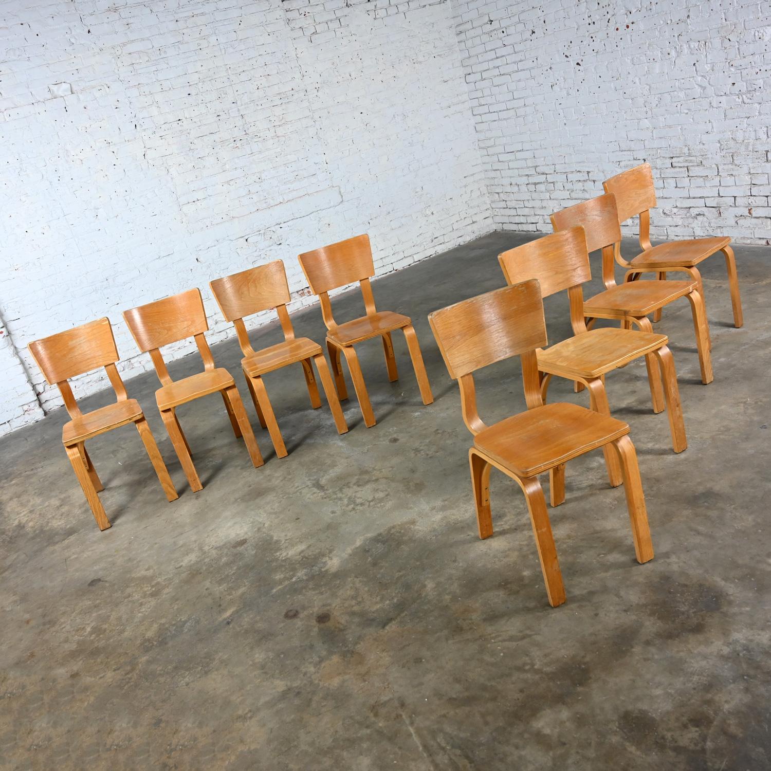 Satz von 8 MCM Thonet #1216 Esszimmerstühlen, gebogene Eiche, Sperrholz, Sattelsitz, Einzelschleife (Eichenholz) im Angebot