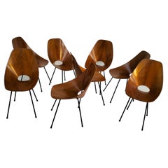 Set of 8 Medea Chairs by Vittorio Nobili for Fratelli Tagliabue 50s, 60s Italy