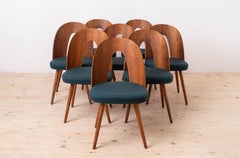 Ensemble de 8 chaises de salle à manger du milieu du siècle par Antonin Šuman, tapisserie personnalisable