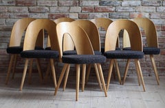 Set of 8 Mid Century Dining Chairs by A.Šuman, Customizable Upholstery Available