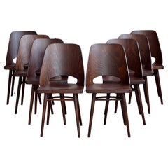 Juego de 8 sillas de comedor modernas de mediados de siglo de Radomir Hofman para TON, Model 514