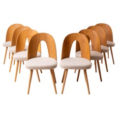 Set of 8 MidCentury Dining Chairs by A.Šuman, Customizable Upholstery Available
