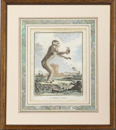 Set of 8 Monkey Prints by Jacques de Seve