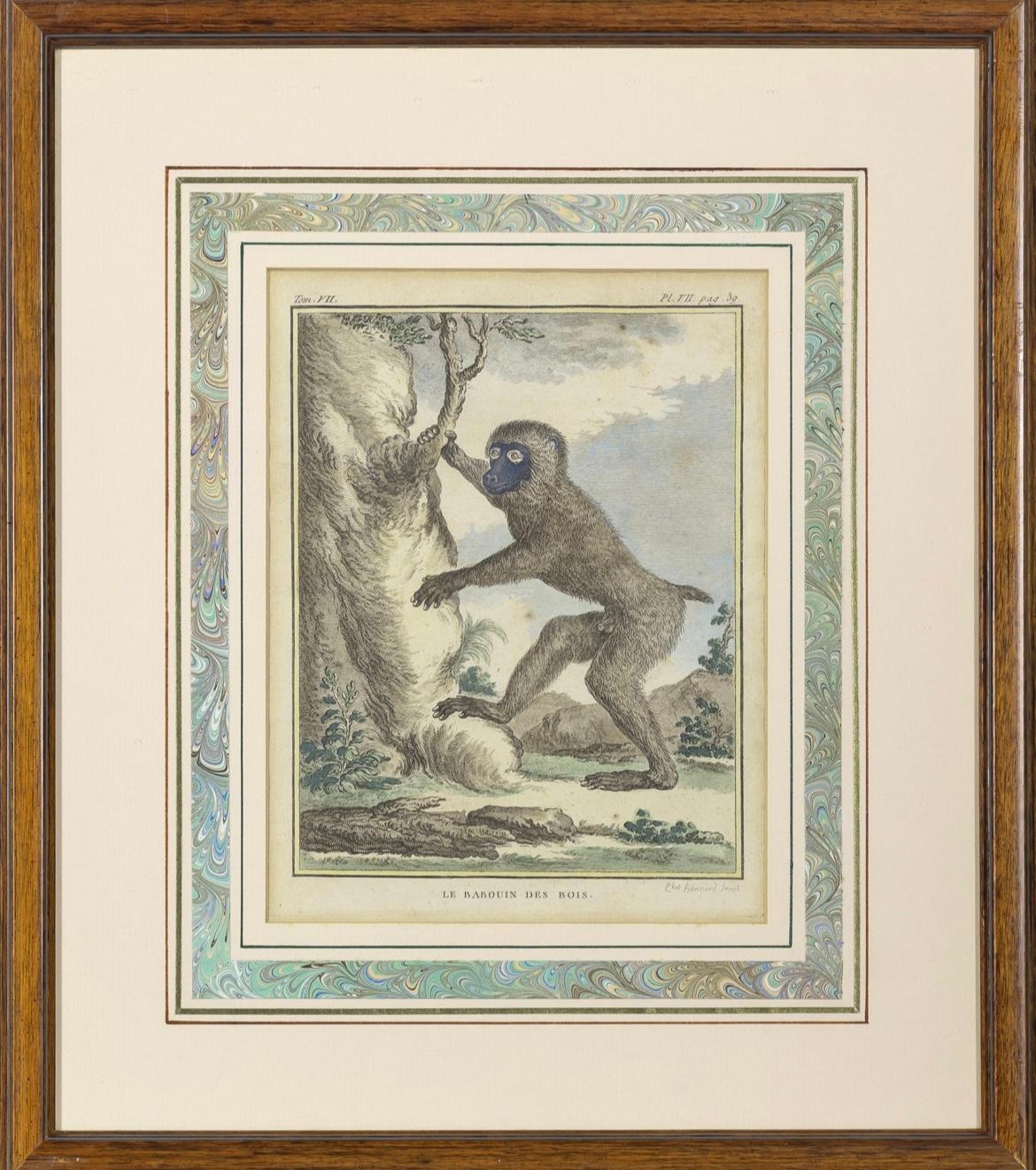 Louis XVI Set of 8 Monkey Prints by Jacques de Seve