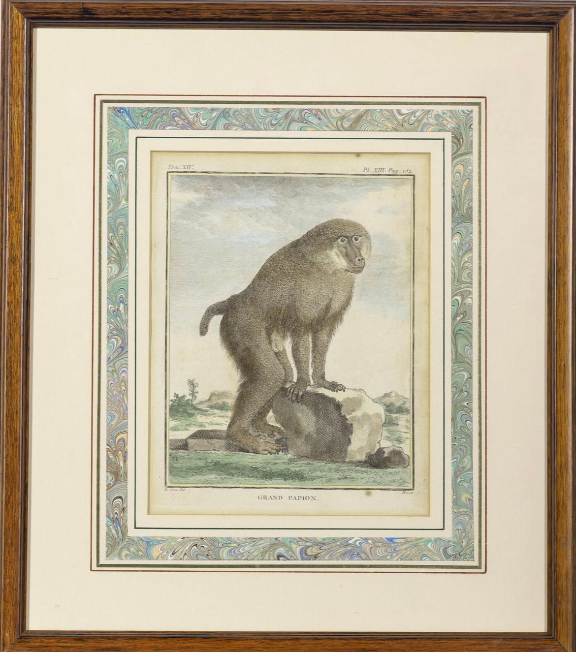 Set of 8 Monkey Prints by Jacques de Seve In Good Condition In Doylestown, PA