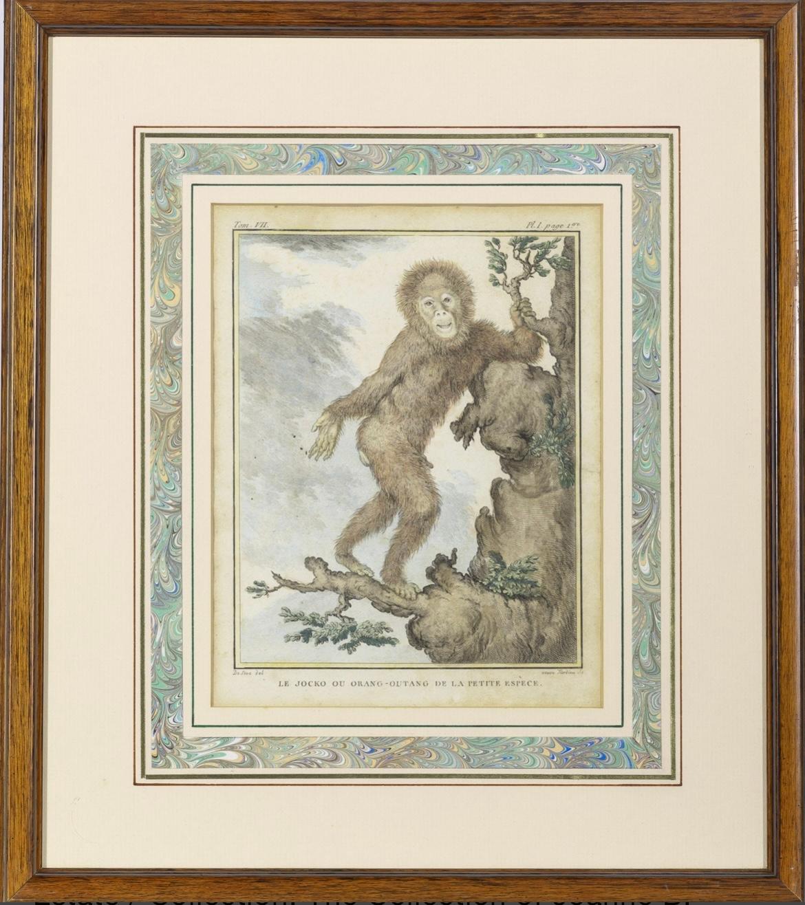 Paper Set of 8 Monkey Prints by Jacques de Seve
