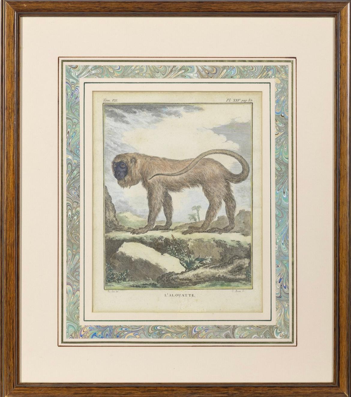 Set of 8 Monkey Prints by Jacques de Seve 2