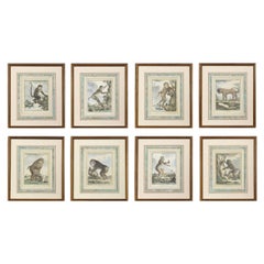 Set of 8 Monkey Prints by Jacques de Seve
