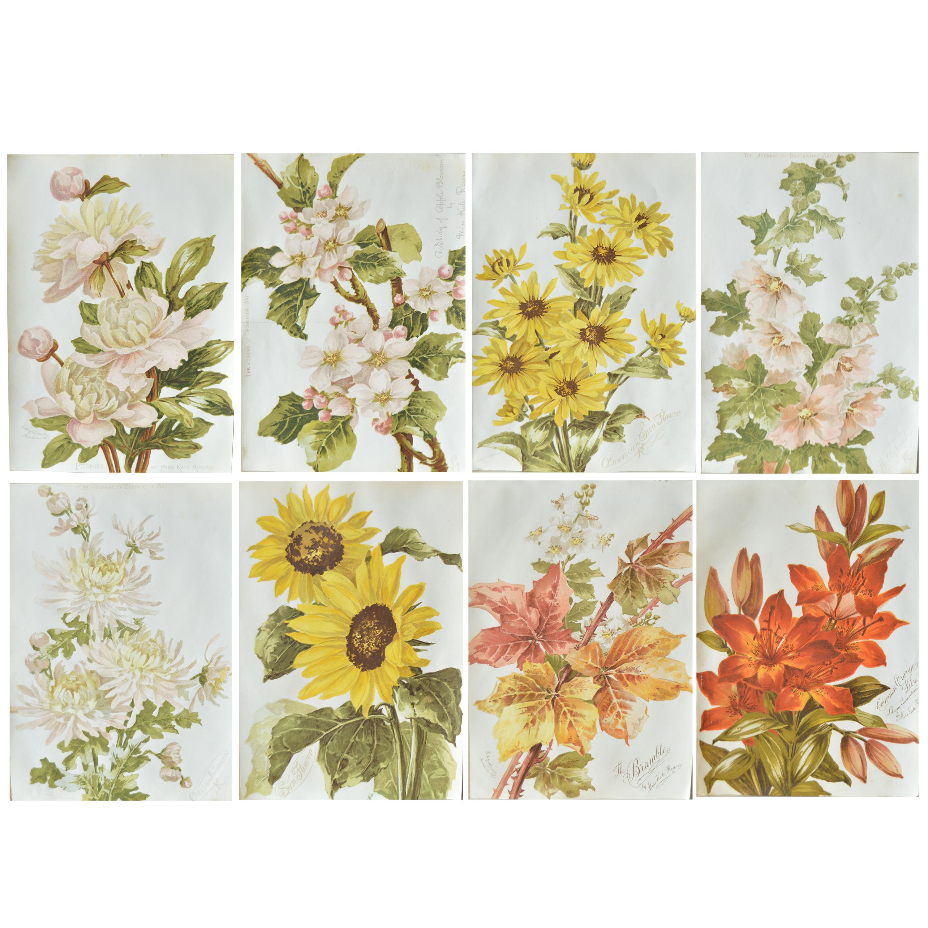 Botanical Photographs Fine Art America Botanical Photographs Fine Art America