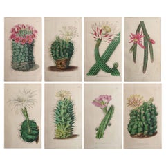 Decorative Art