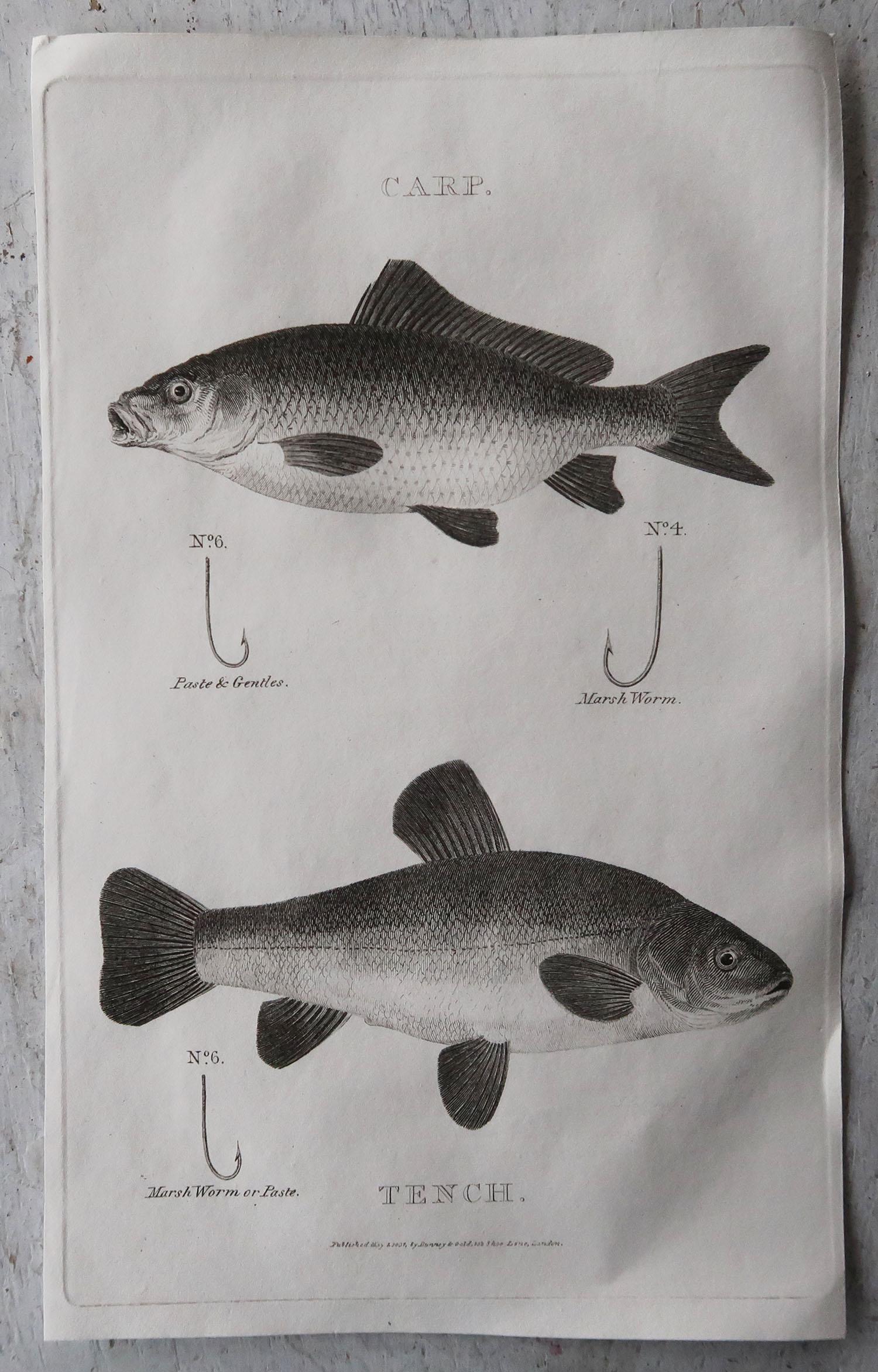 Great set of 8 fishing prints

Copper-plate engravings 

Published by Bunney & Gold, London
 
Unframed

The measurement give below is for one print.

Free shipping.
 