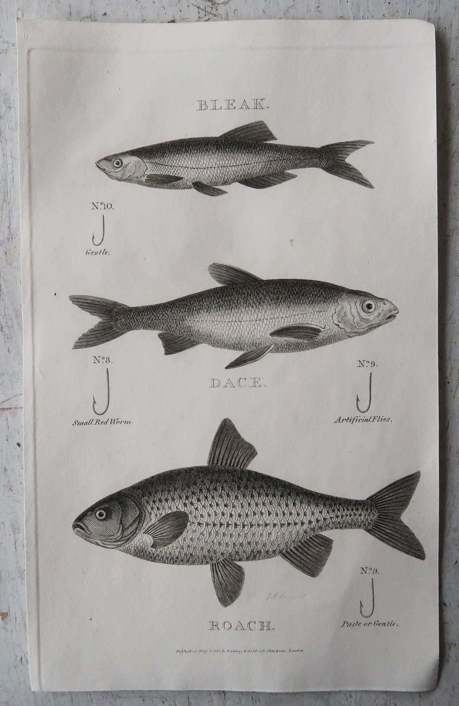 Folk Art Set of 8 Original Antique Fishing Prints, Dated 1801