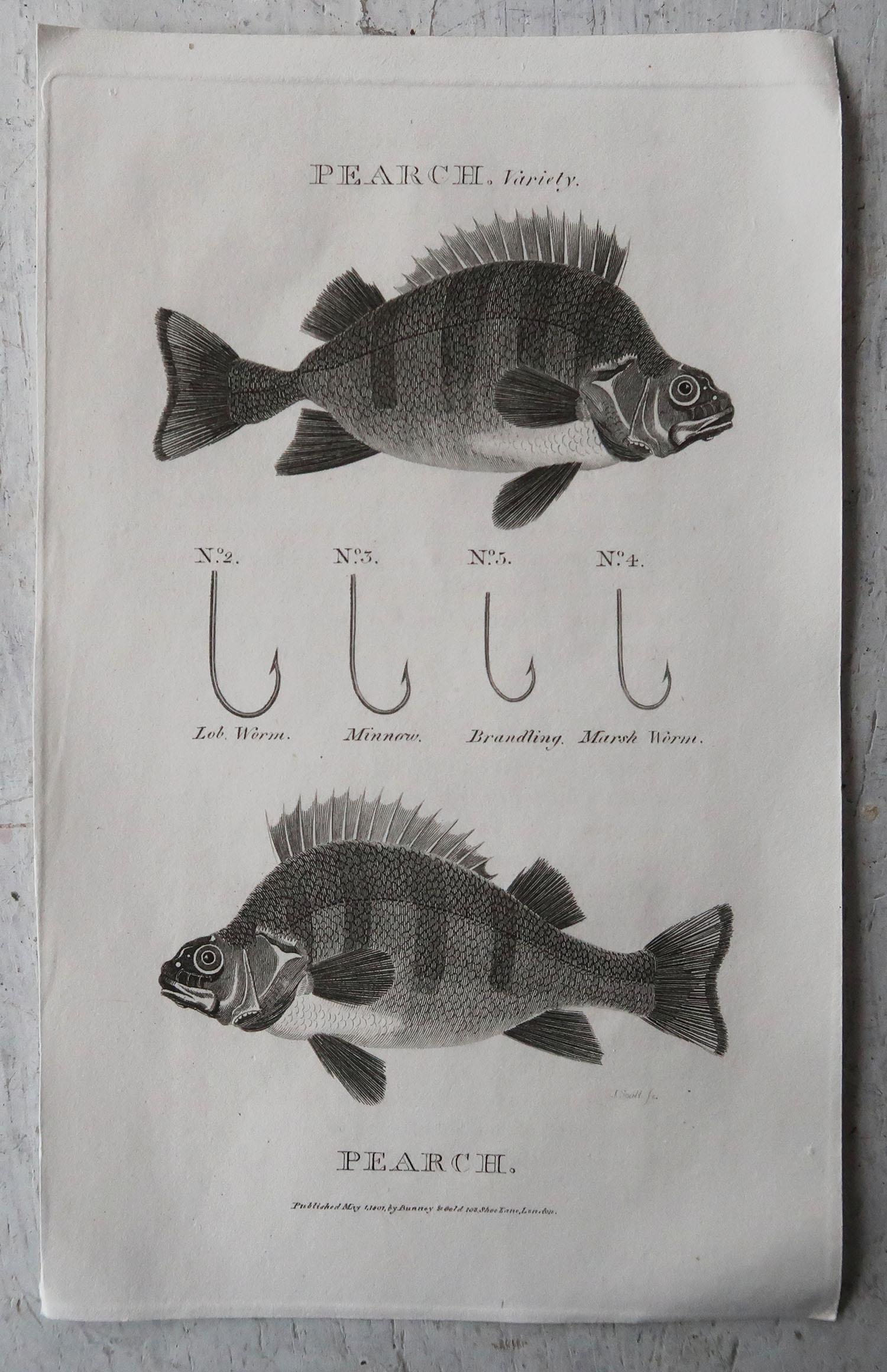 Other Set of 8 Original Antique Fishing Prints, Dated 1801