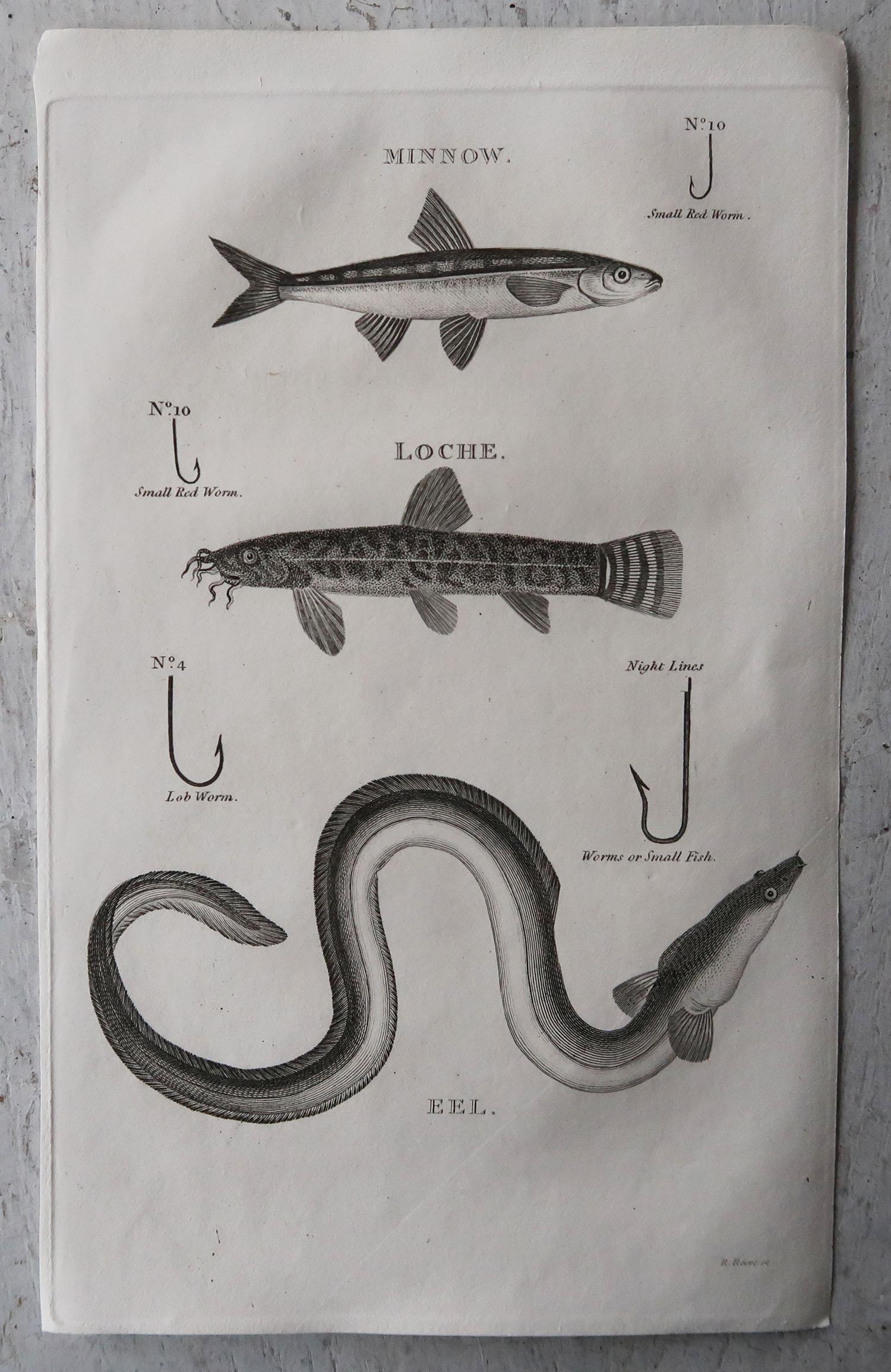 Paper Set of 8 Original Antique Fishing Prints, Dated 1801