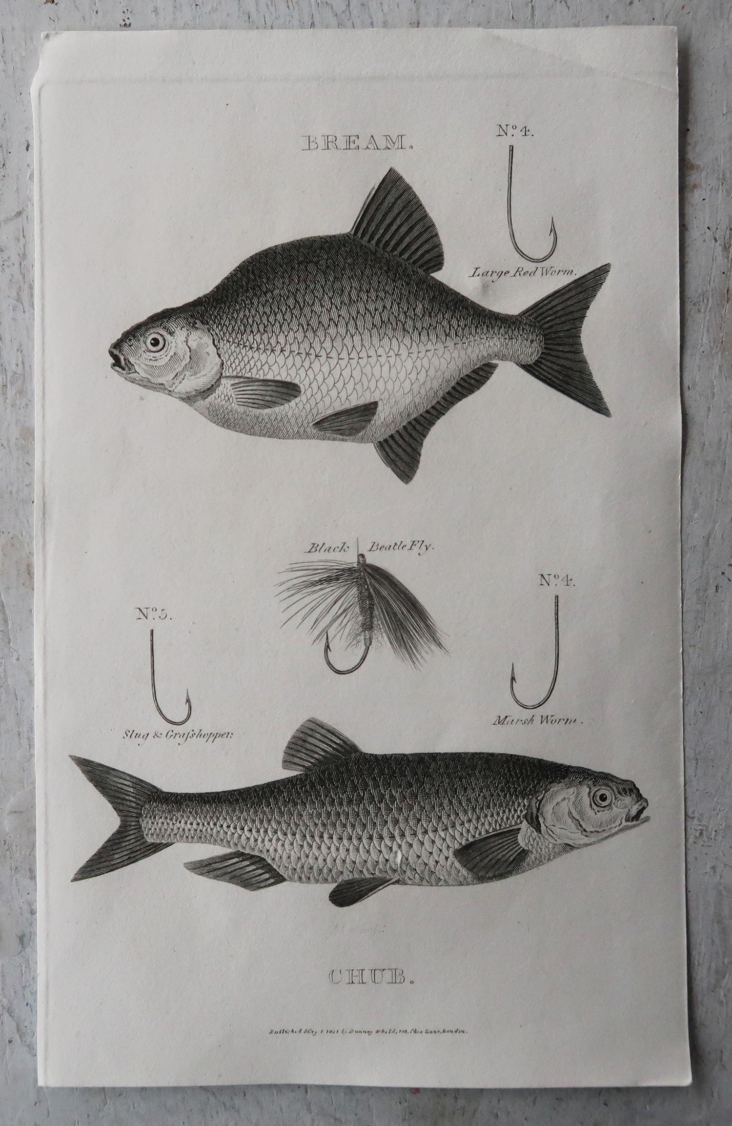 Set of 8 Original Antique Fishing Prints, Dated 1801 1