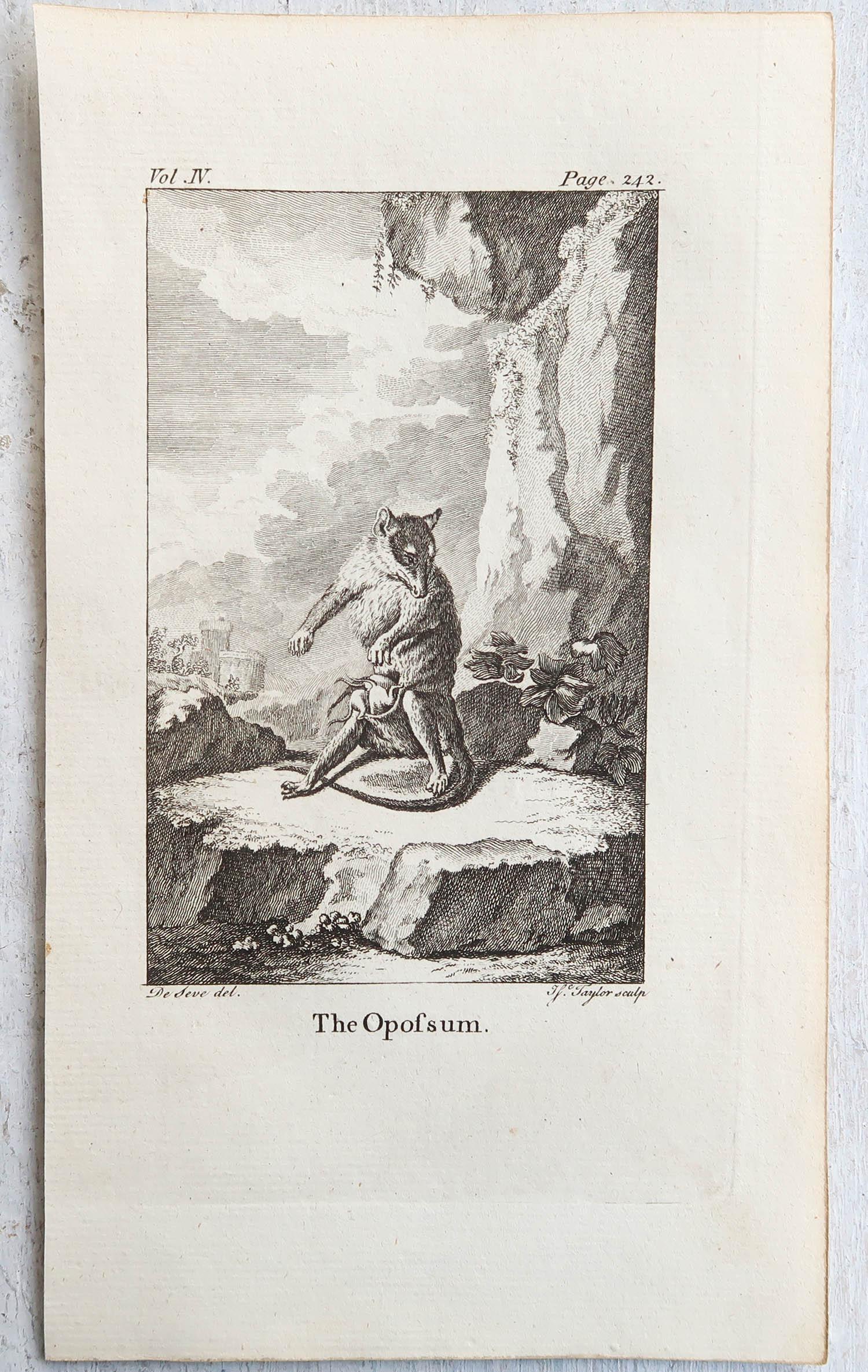 Late 18th Century Set of 8 Original Antique Prints of Monkey's, circa 1780 For Sale