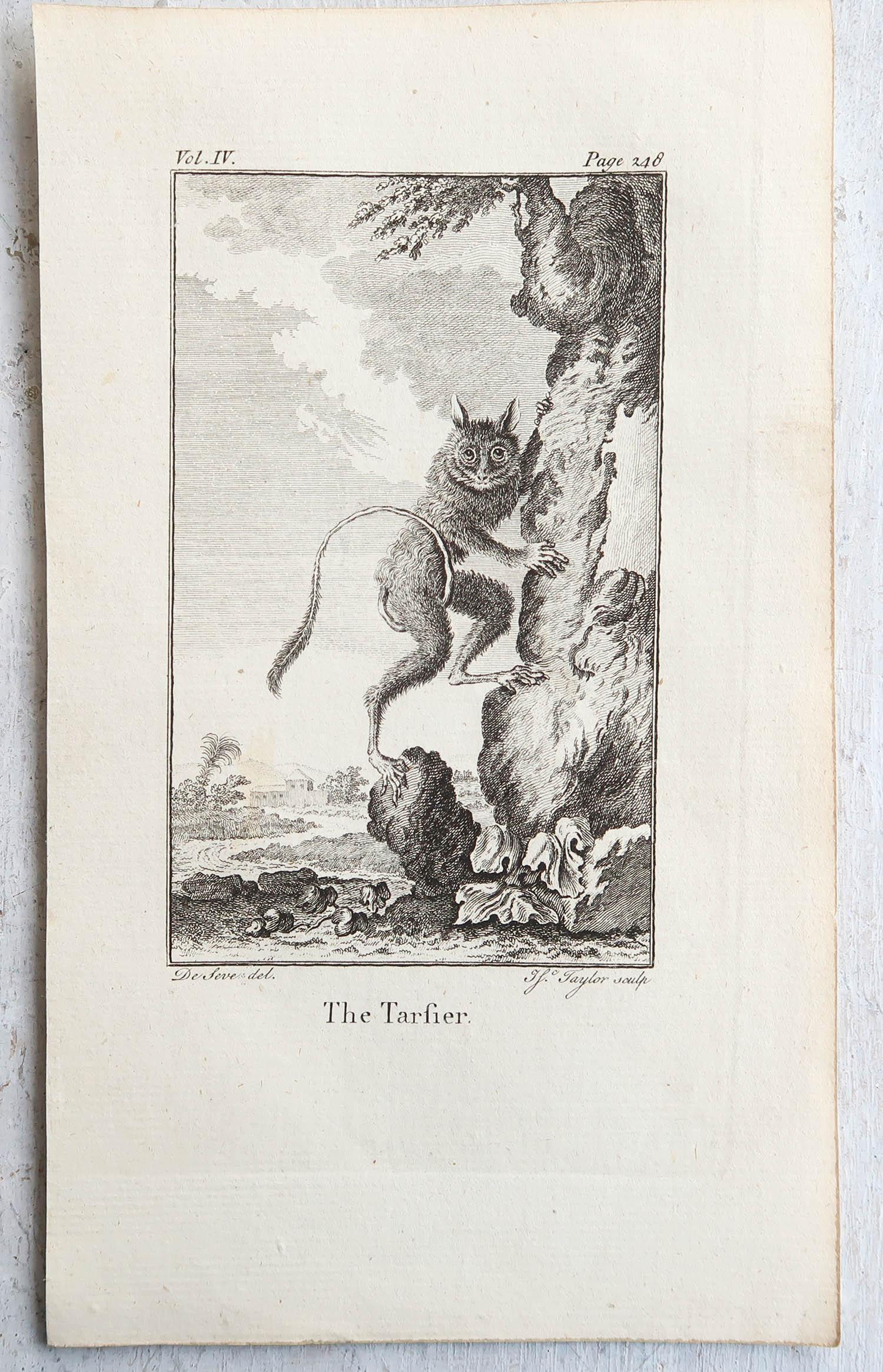 Papier Ensemble de 8 gravures anciennes originales de singes, circa 1780 en vente