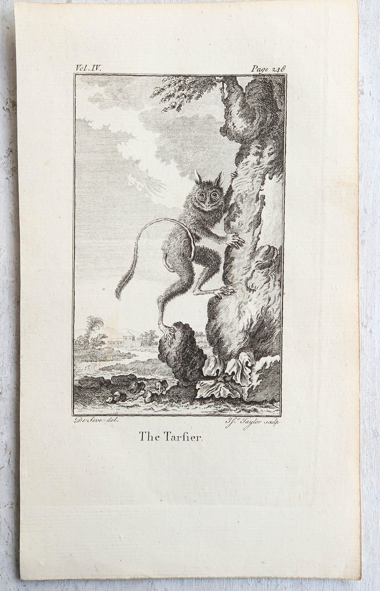 Paper Set of 8 Original Antique Prints of Monkey's, circa 1780 For Sale