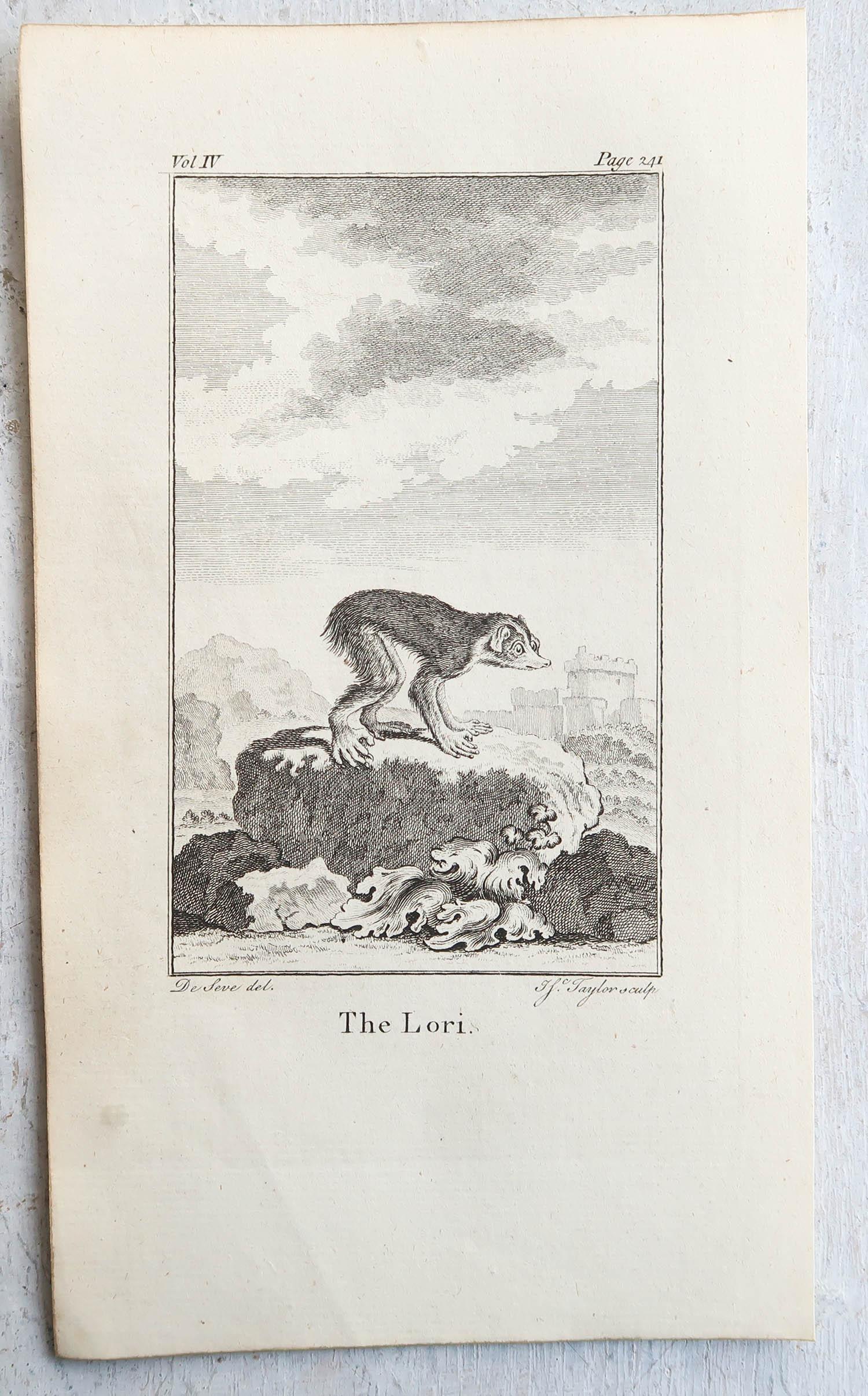 Set of 8 Original Antique Prints of Monkey's, circa 1780 For Sale 1