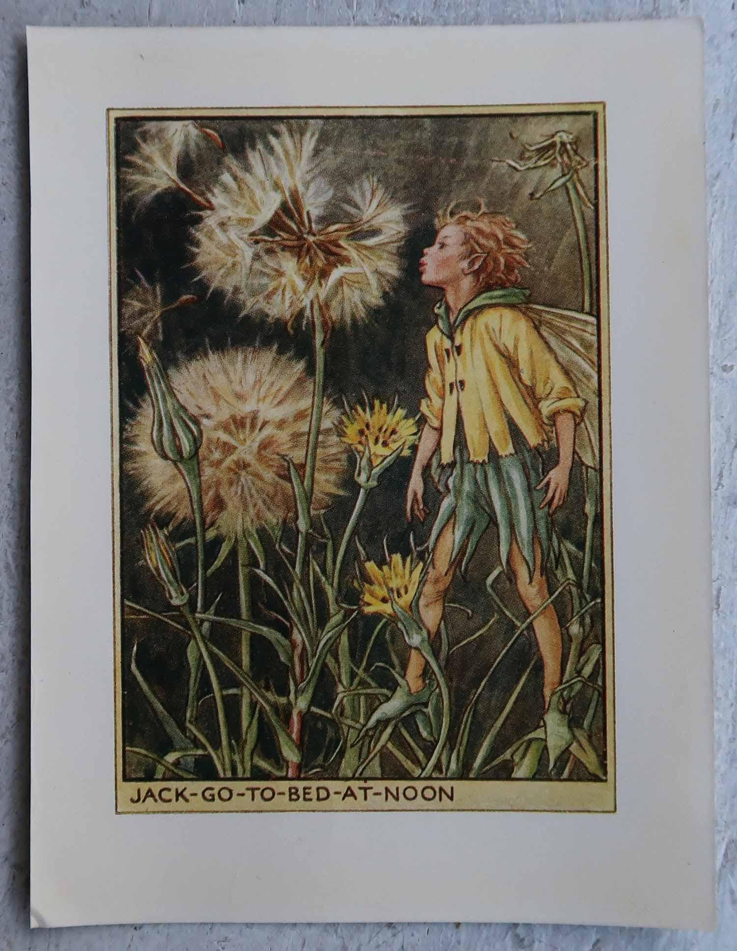 Inglese Set di 8 stampe originali di fate dei fiori d'epoca, circa 1930 in vendita