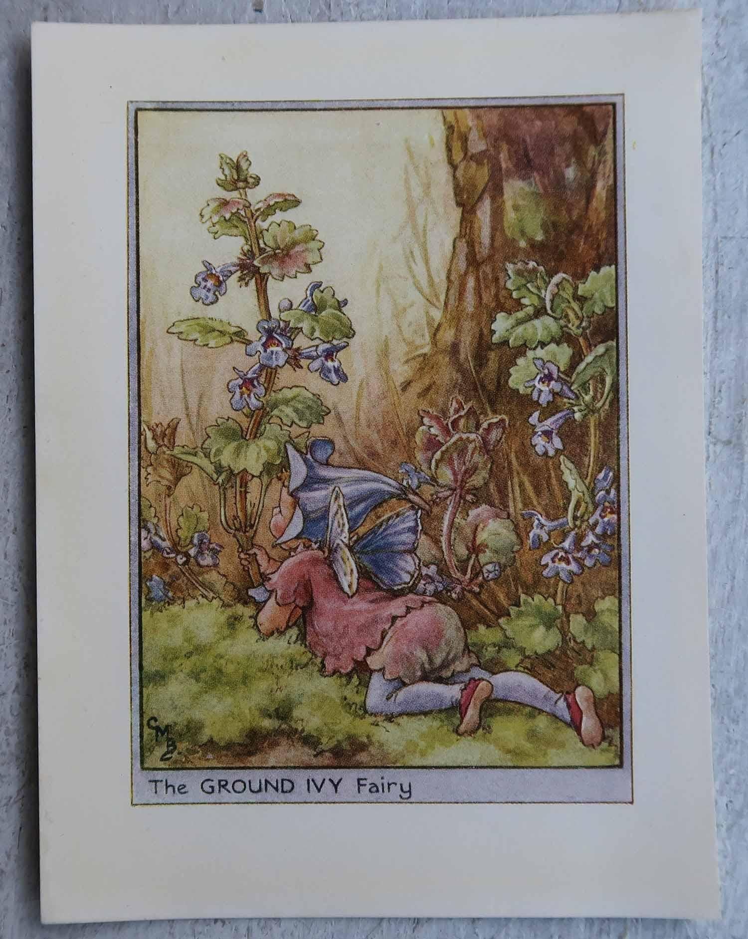 Altro Set di 8 stampe originali di fate dei fiori d'epoca, circa 1930 in vendita